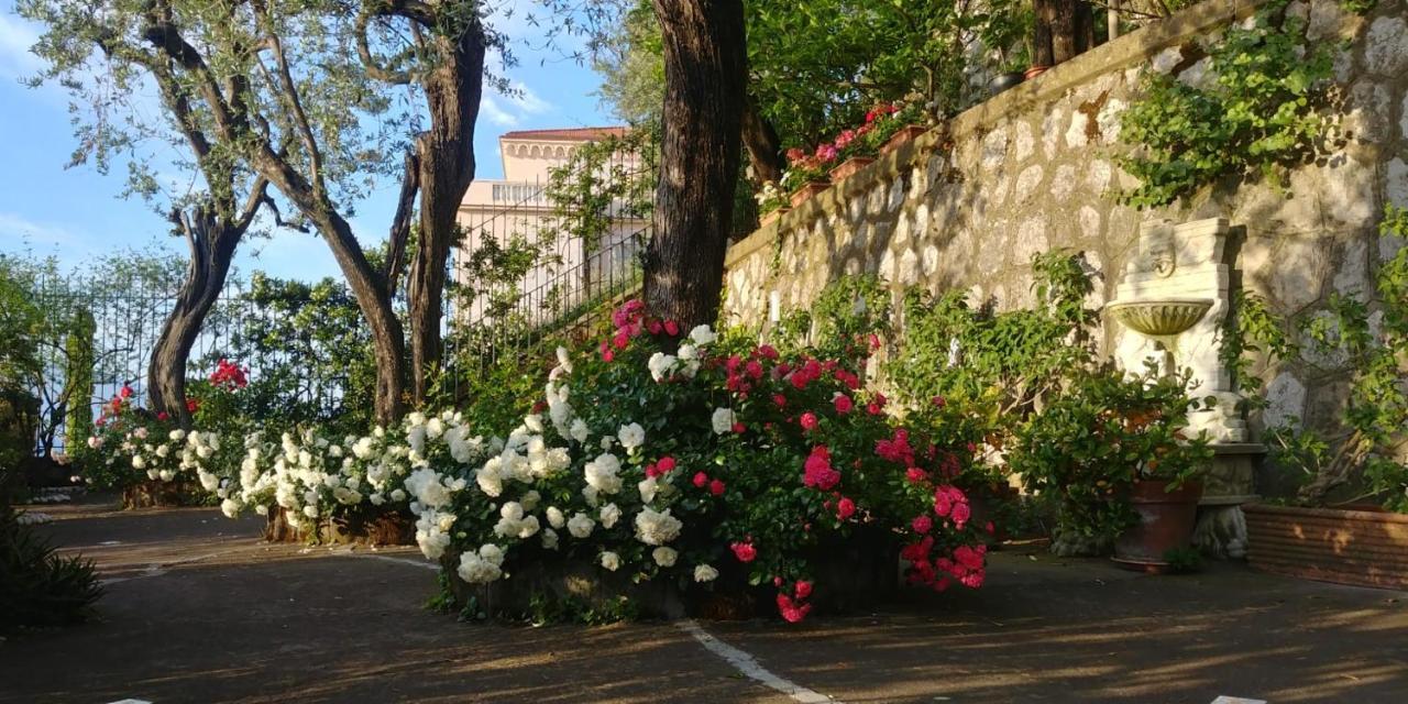 Villa L'Ulivina 索伦托 外观 照片